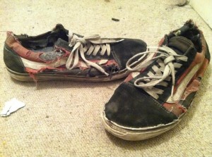 vans destroys