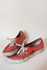 vans destroys